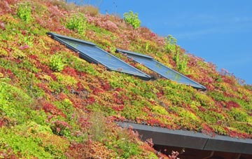 Jonesborough living roof systems