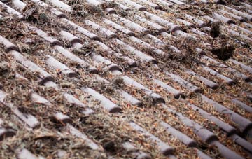 Jonesborough roof cleaning companies