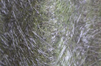 Jonesborough fibreglass roof work